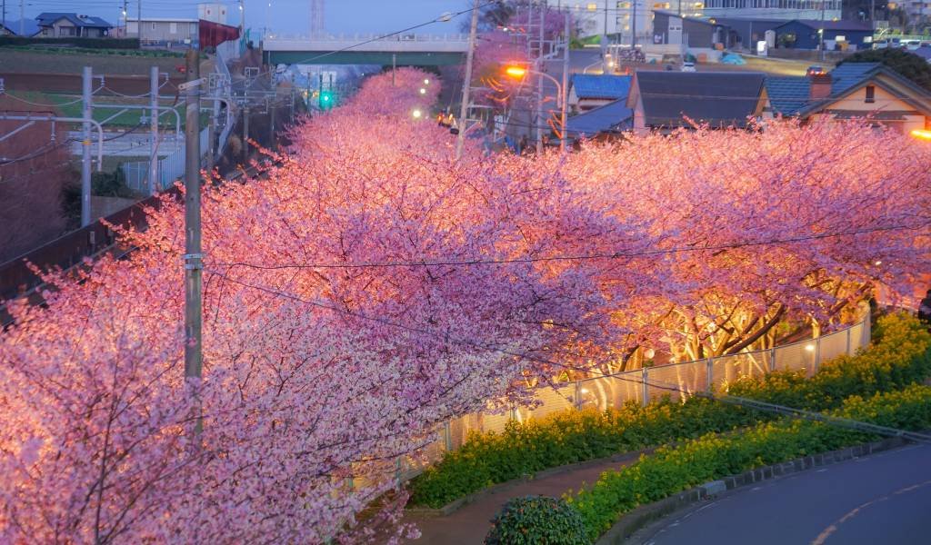 ⚓ 미사키 어항(미사키교코) 이미지 6